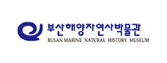 사업영역